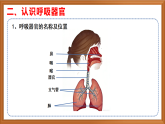 苏教版小学科学三下第五单元《17 人的呼吸器官》课件+教案+视频