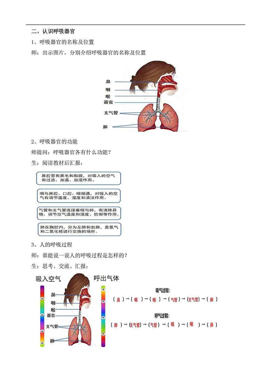 苏教版小学科学三年级下册第五单元《17.人的呼吸器官》教案第2页