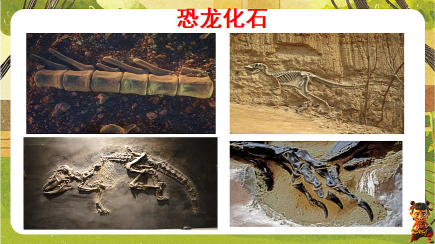 17973399第4页