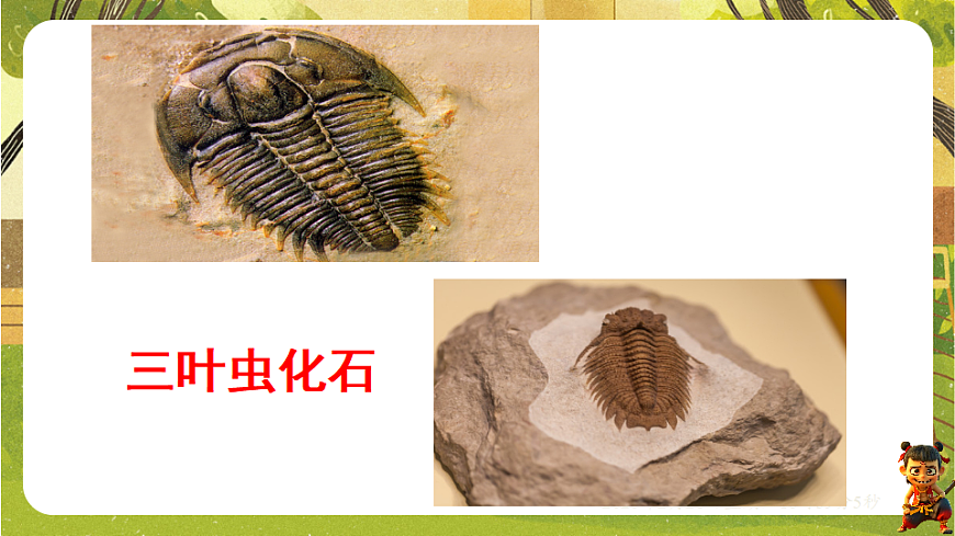 17973399第5页