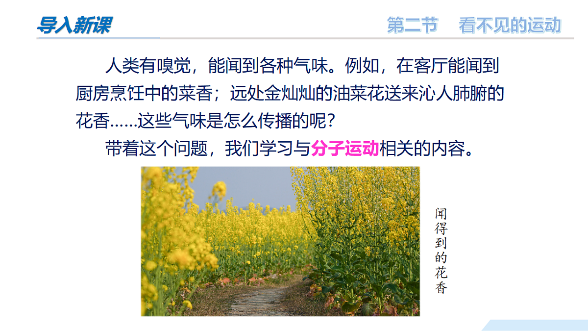 17973419第3页