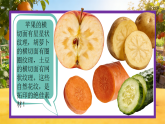 4.3蔬果大变身 课件-人美版小学美术二下（新教材）