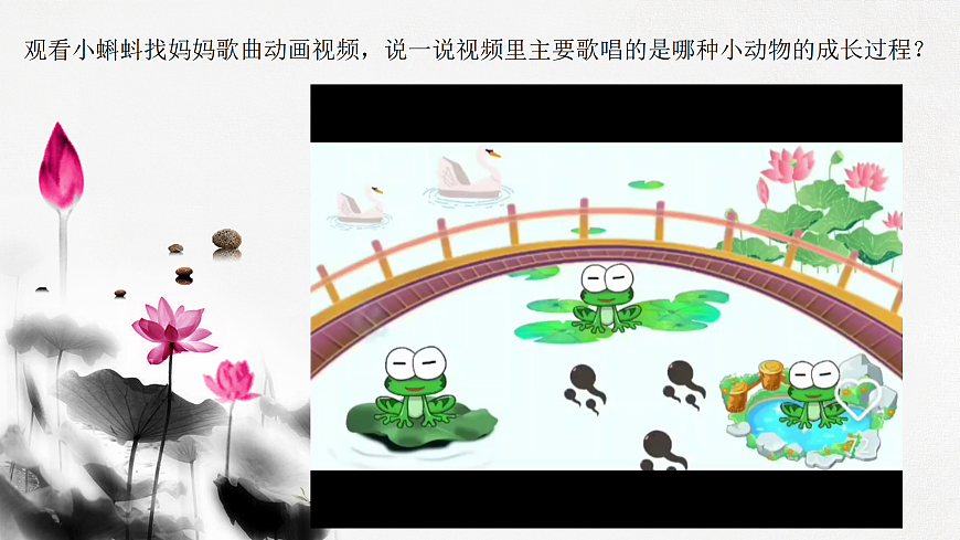 第1课 蛙声十里 课件第2页