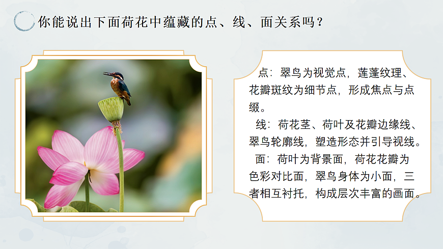 第2课 出水芙蓉 课件第6页