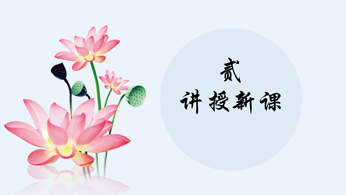 第3课 美丽荷塘 课件第5页