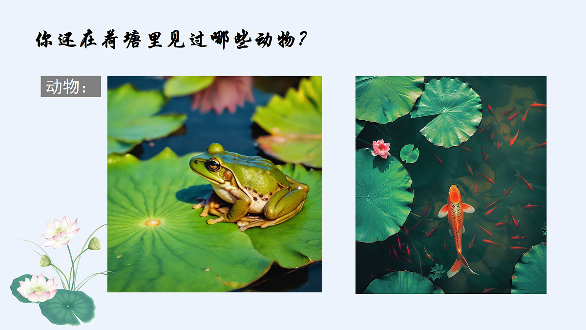 第3课 美丽荷塘 课件第8页