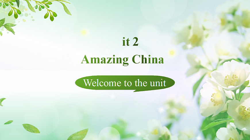 17973655第1页