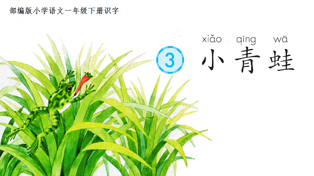 17973802第1页