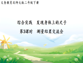 综合实践  发现身体上的尺子第3课时   测量结果交流会 课件 北师大版数学二年级下册