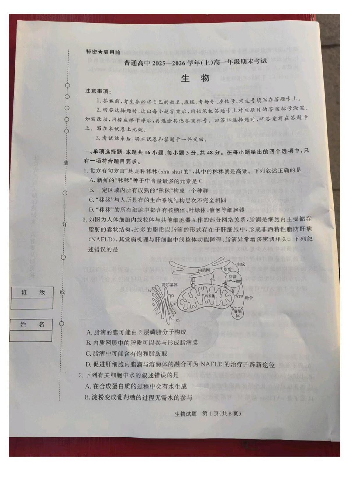 河南省周口市商水县中英文学校2025-2026学年高一年级上学期期末考试生物试题第1页
