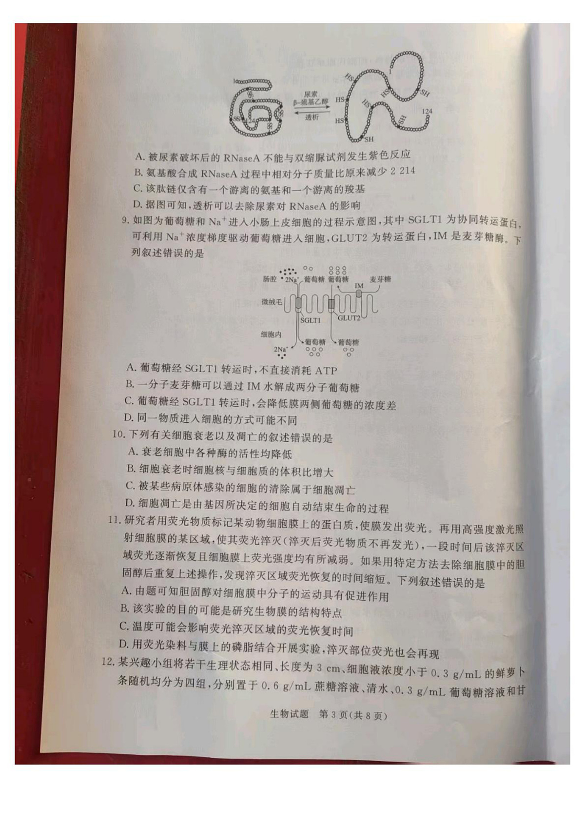 河南省周口市商水县中英文学校2025-2026学年高一年级上学期期末考试生物试题第3页