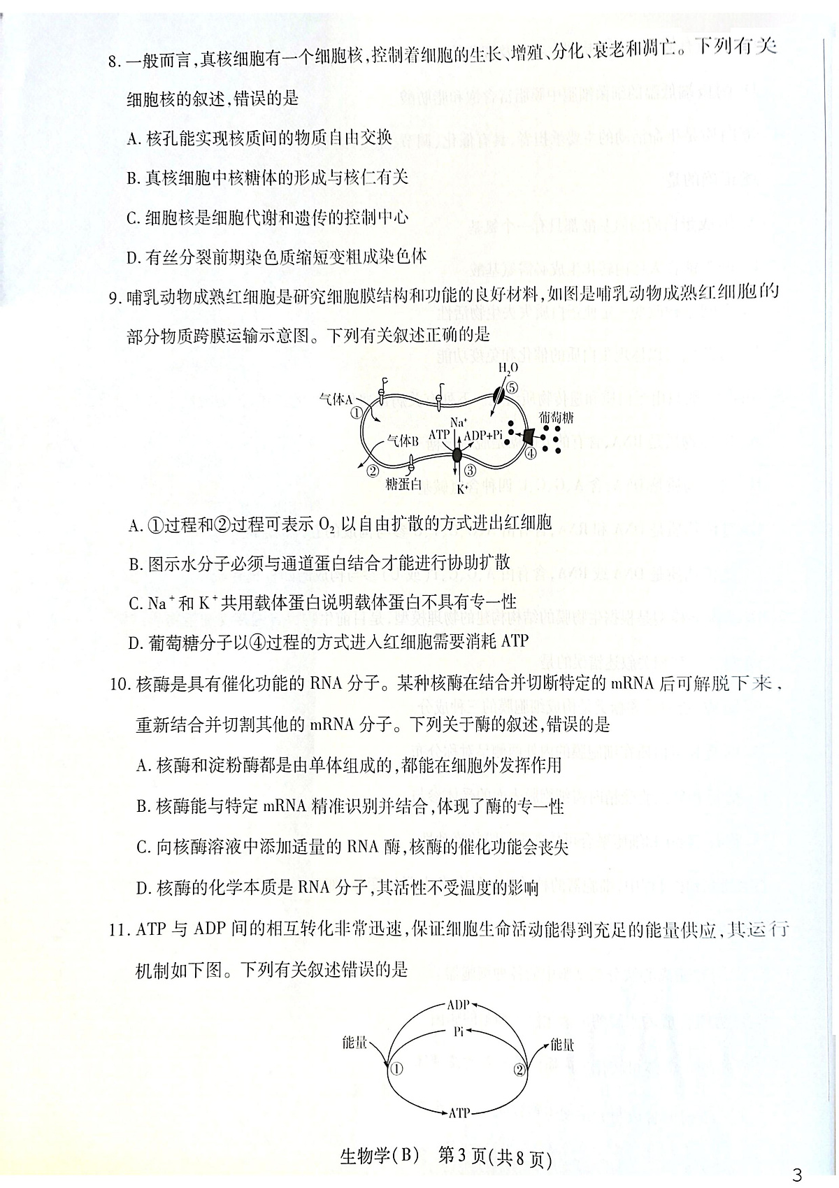 河南安阳市林州市2025-2026学年高一上学期2月期末生物试题第3页