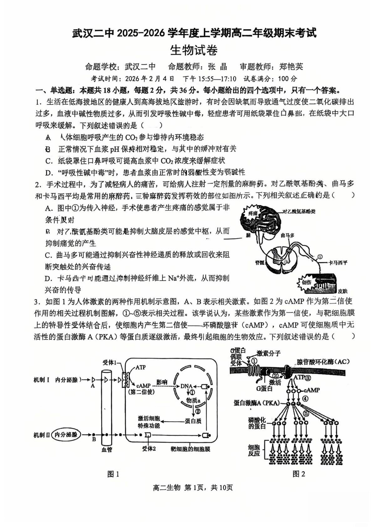 湖北武汉二中2025-2026学年度上学期高二年级期末考试生物试卷第1页