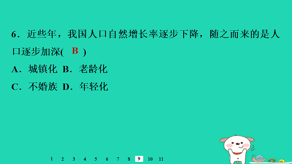 17974381第8页