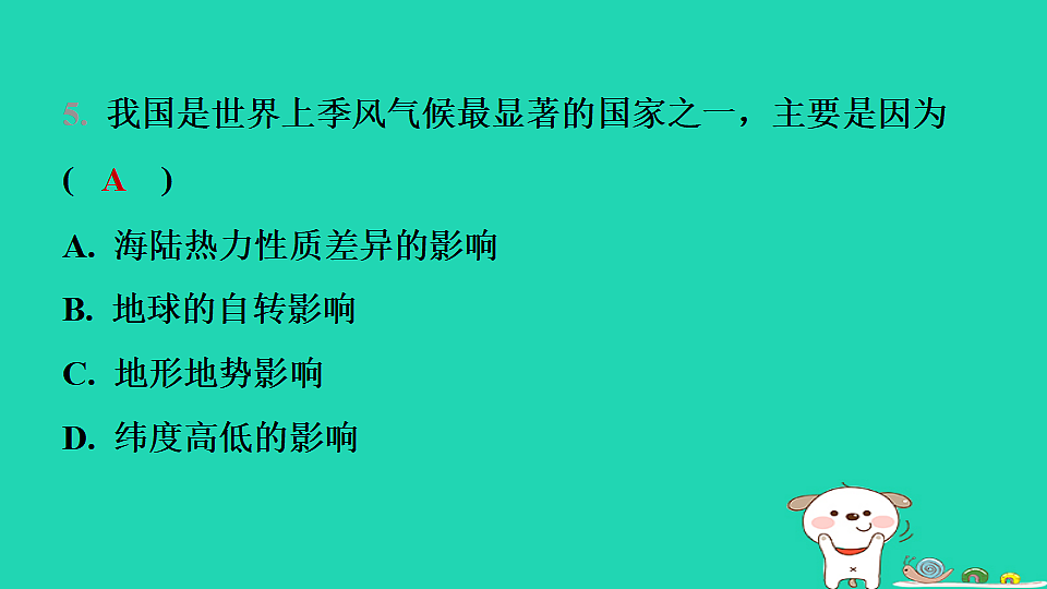 17974386第8页