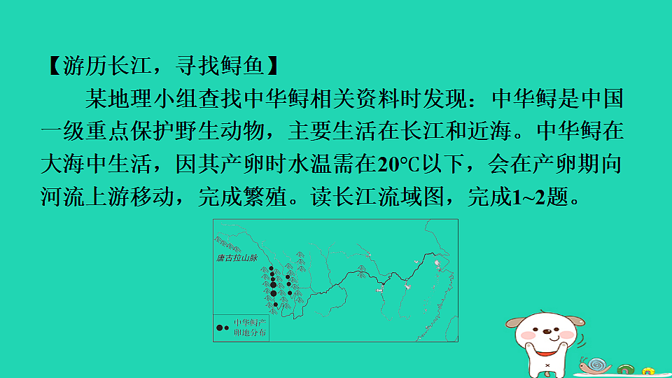 17974388第3页