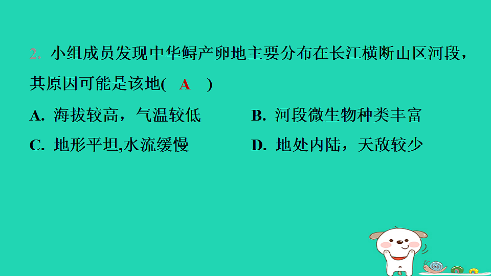 17974388第5页