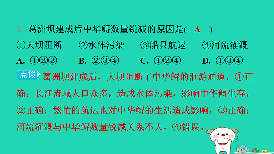 17974388第8页