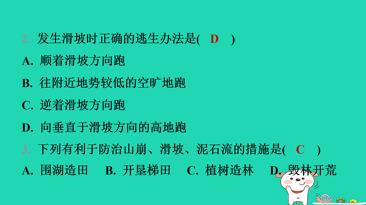 17974389第4页