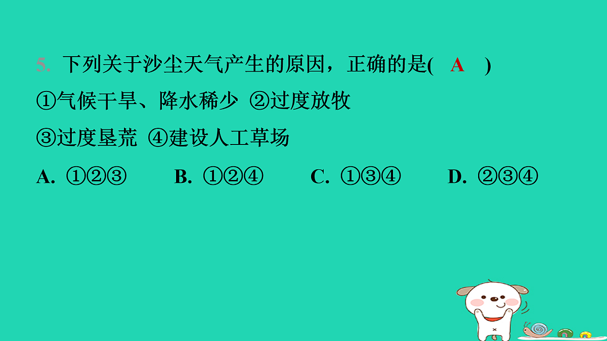 17974389第6页