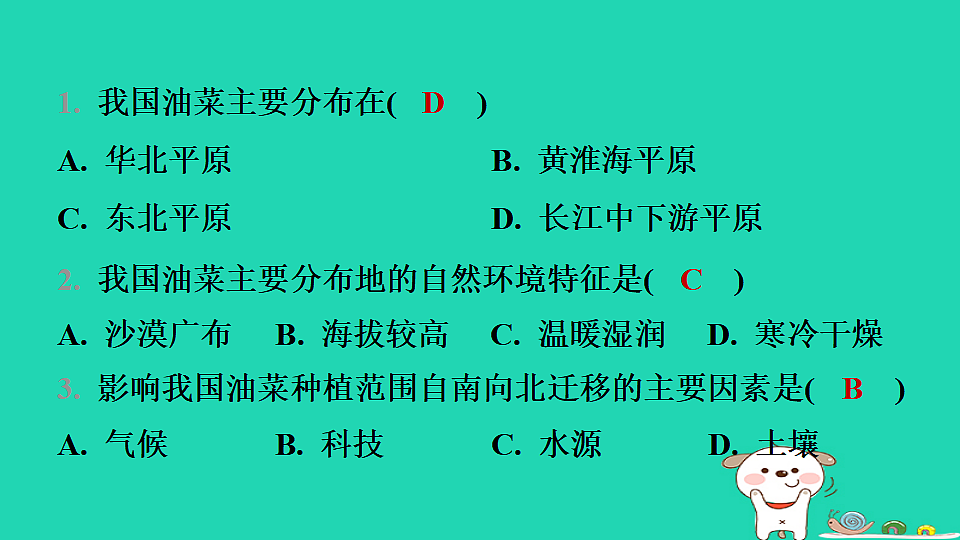 17974394第3页