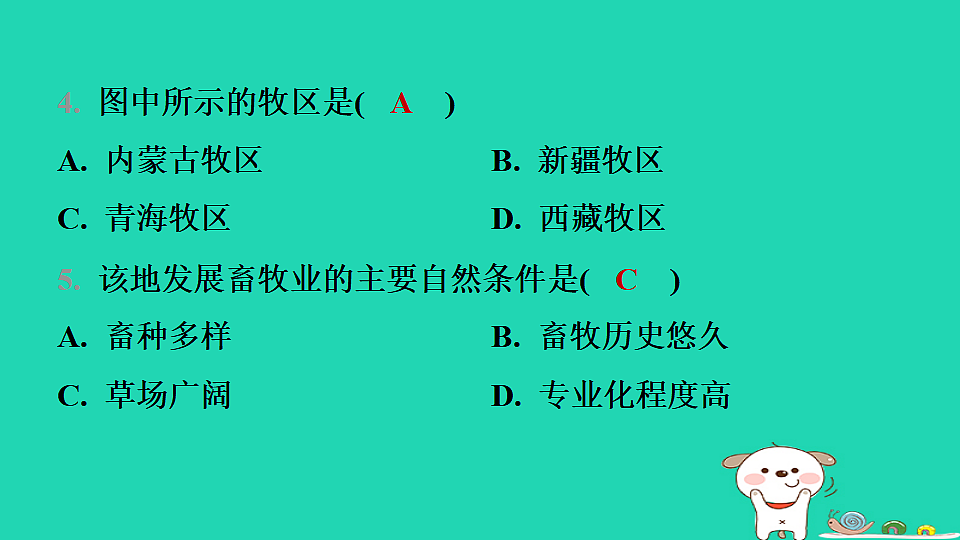 17974394第5页