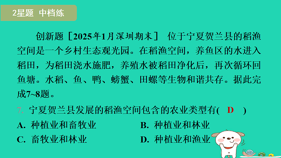 17974394第7页