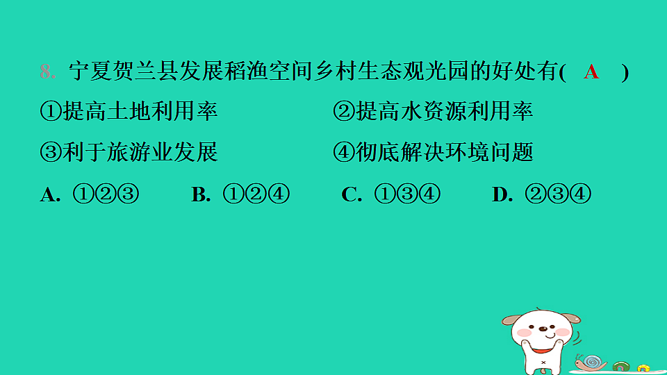 17974394第8页
