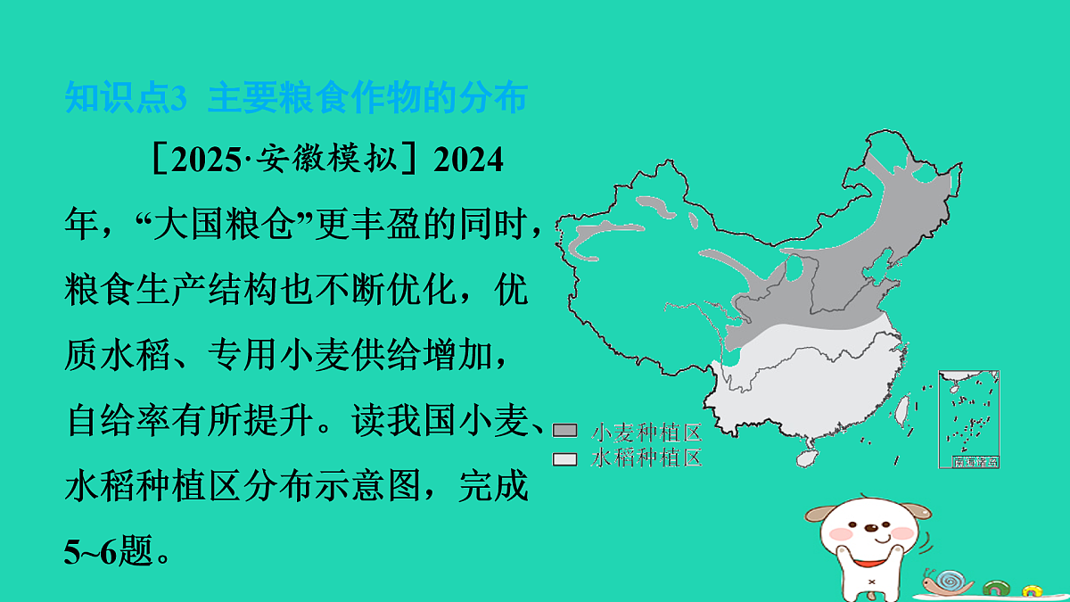 17974395第7页