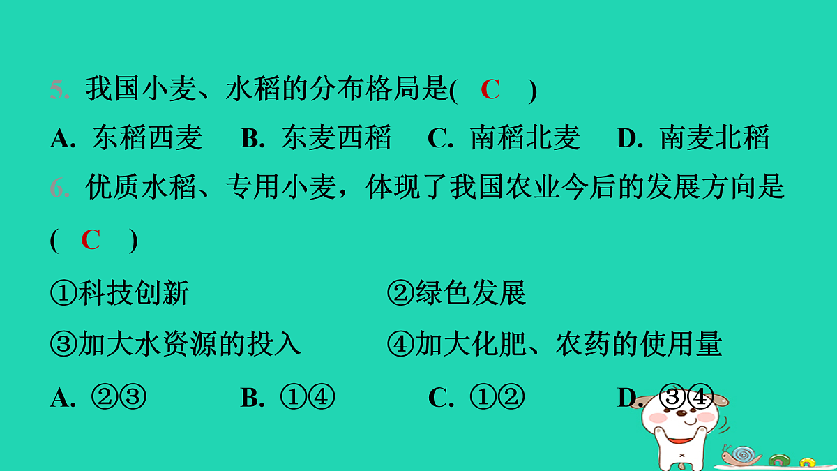 17974395第8页