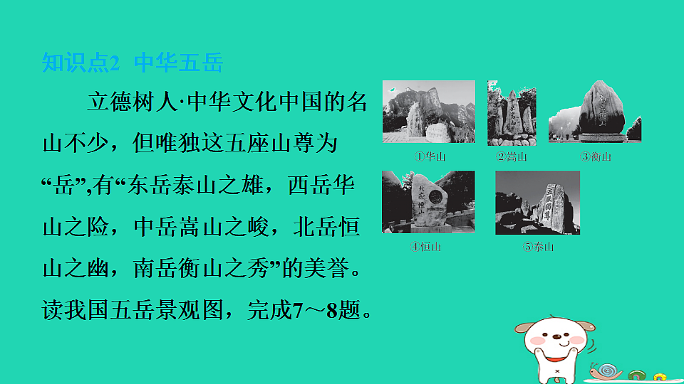 17974448第8页