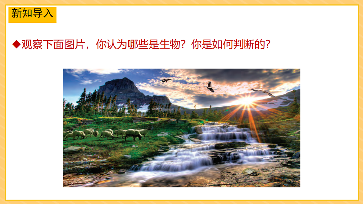 17974489第2页