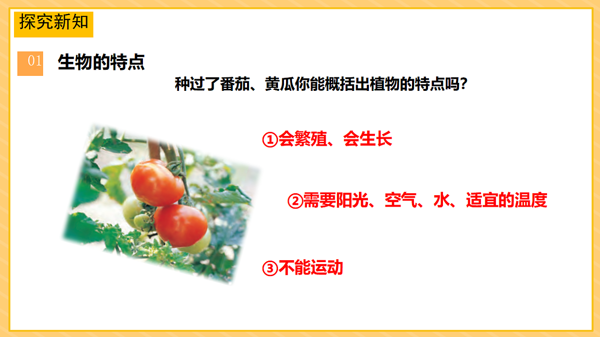 17974489第3页