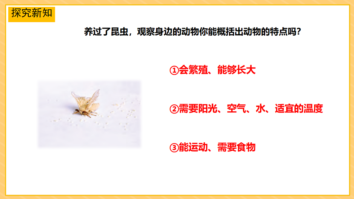 17974489第4页
