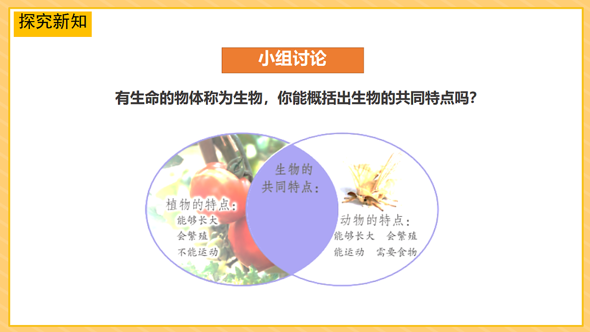 17974489第5页
