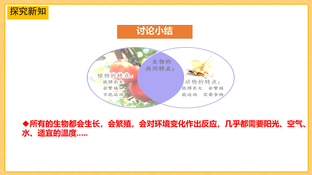 17974489第6页