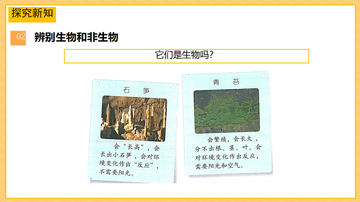 17974489第7页