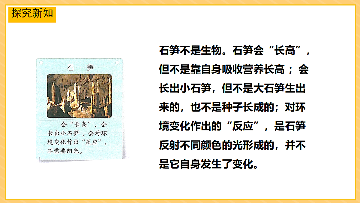 17974489第8页
