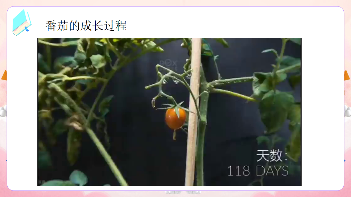 17974534第3页