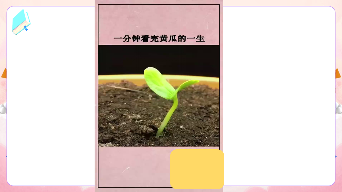 17974534第4页