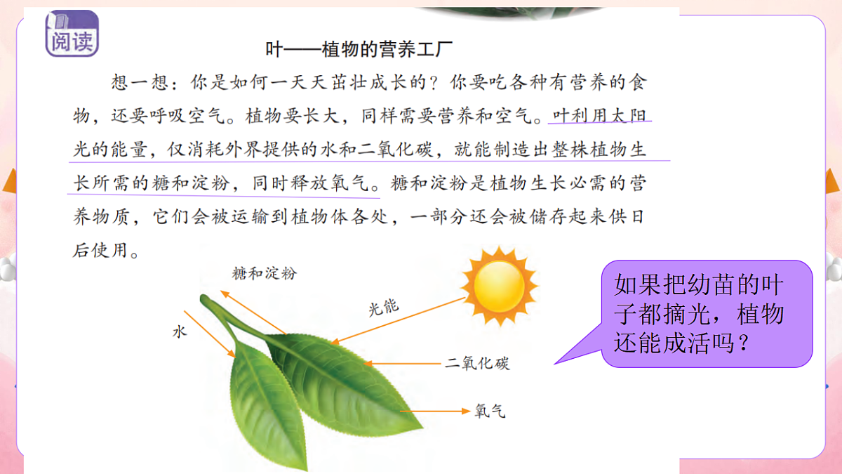 17974534第8页