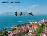 统编版语文三年级上册（2024）17 海滨小城 课件