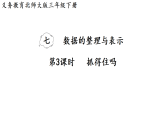 7.3 抓得住吗 课件 北师大版数学三年级下册