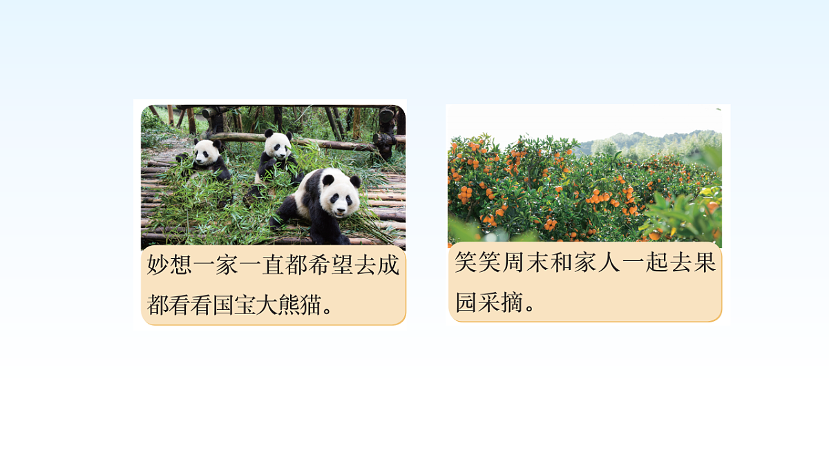 17974702第4页