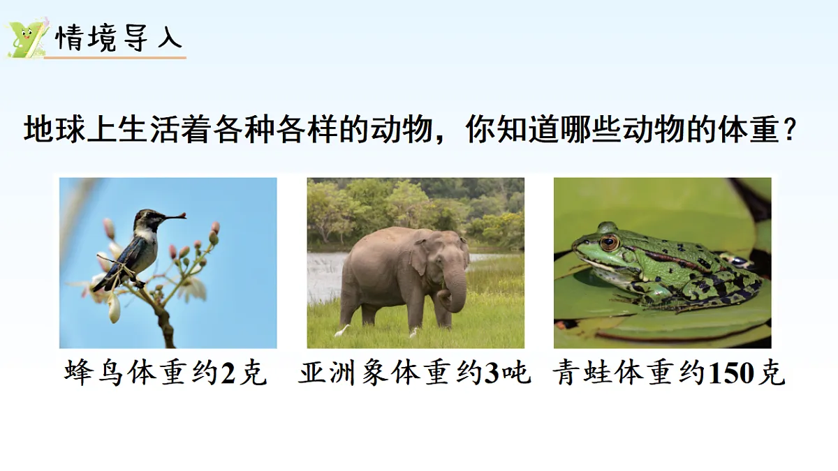 17974704第2页