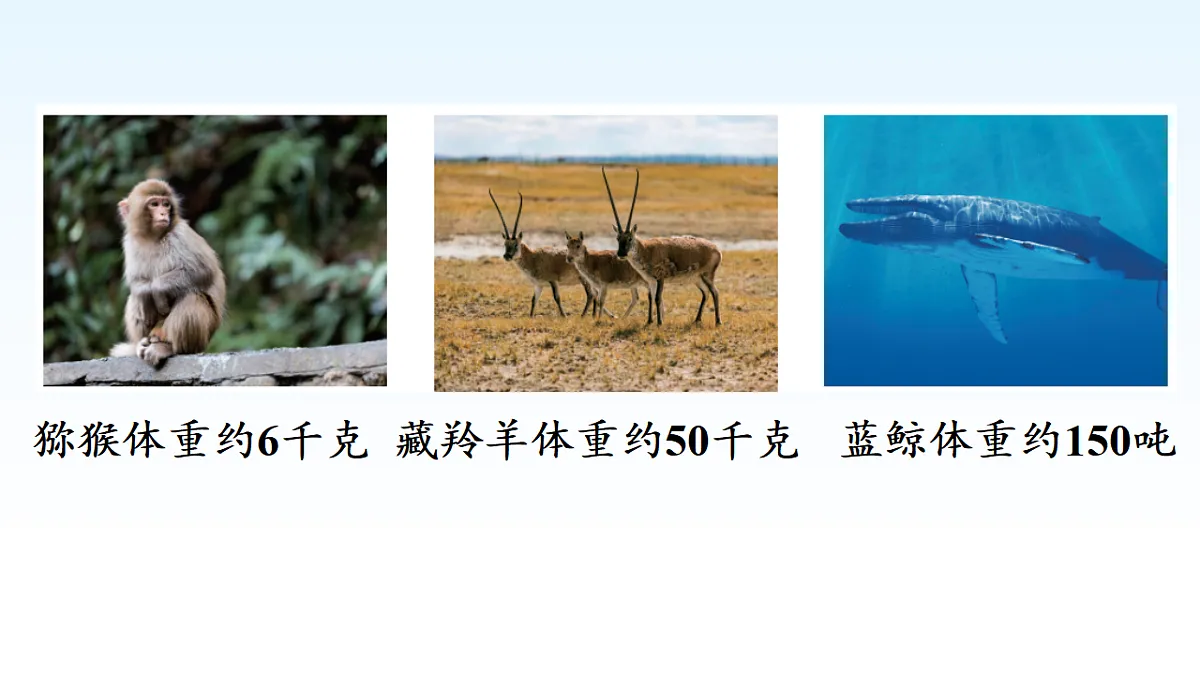 17974704第3页