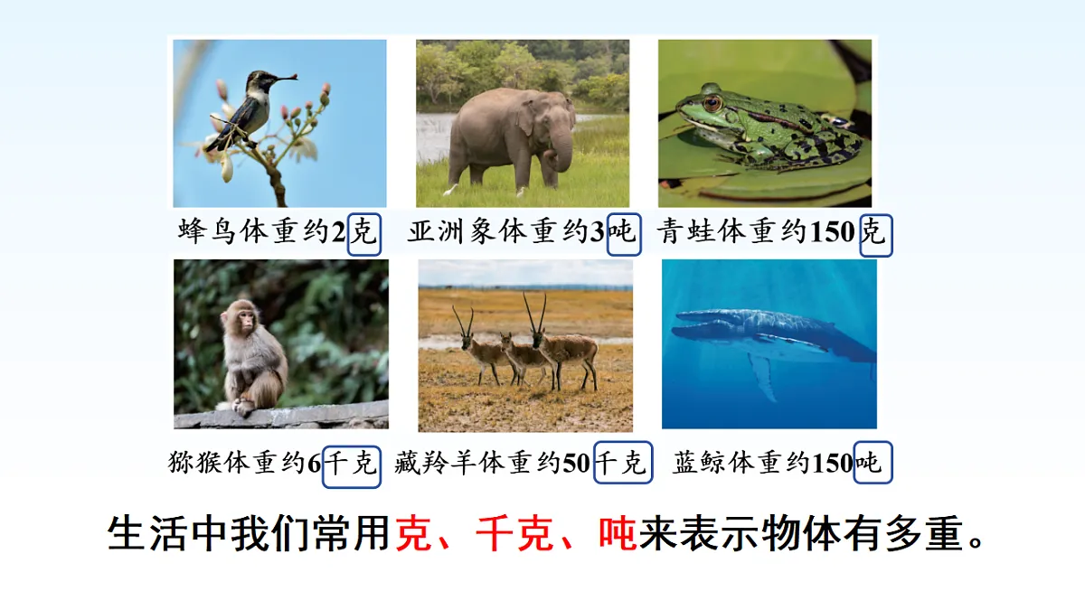 17974704第4页