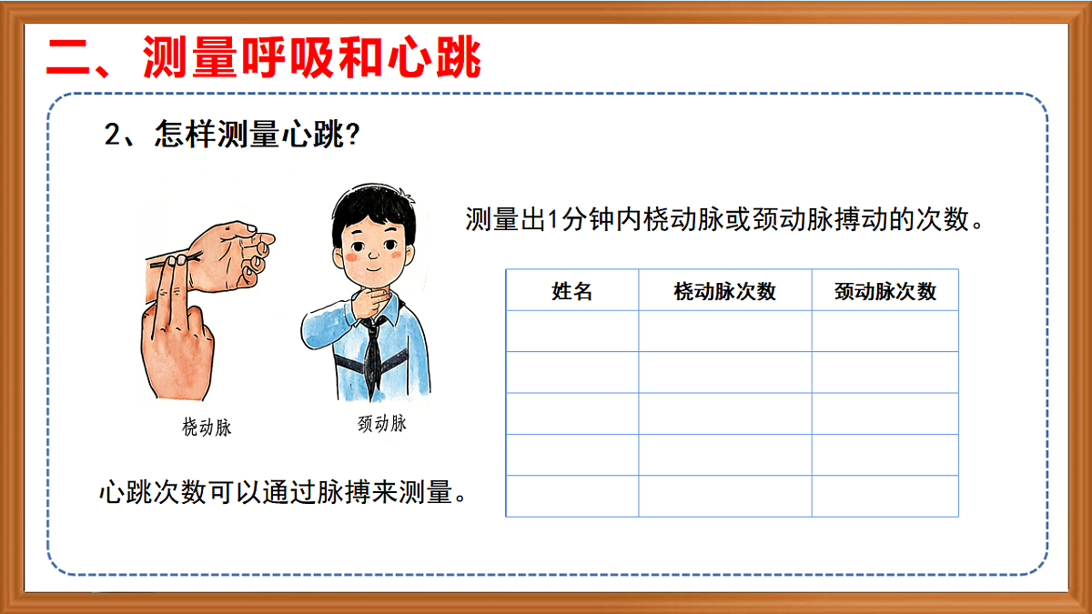 苏教版小学科学三年级下册第五单元《18 测量脉搏和肺活量》课件+作业设计+视频第7页