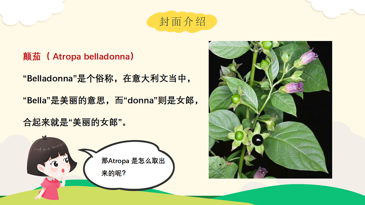 [25160734]【开学第一课】教科版科学四年级下册 课件第5页