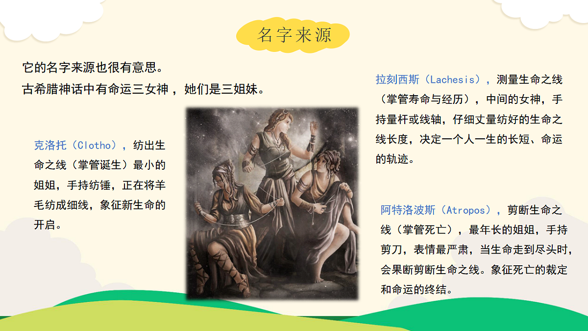 [25160734]【开学第一课】教科版科学四年级下册 课件第6页
